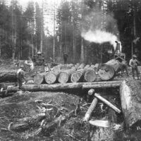 77447b4b264087419d82083b1b338cee--wood-cutting-vintage-photos