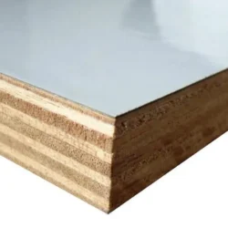 Birch with White Liner 2