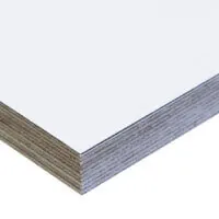 Birch with White Liner