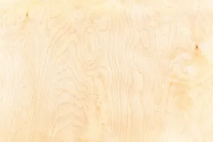 Continuous-Match-Veneer-2026