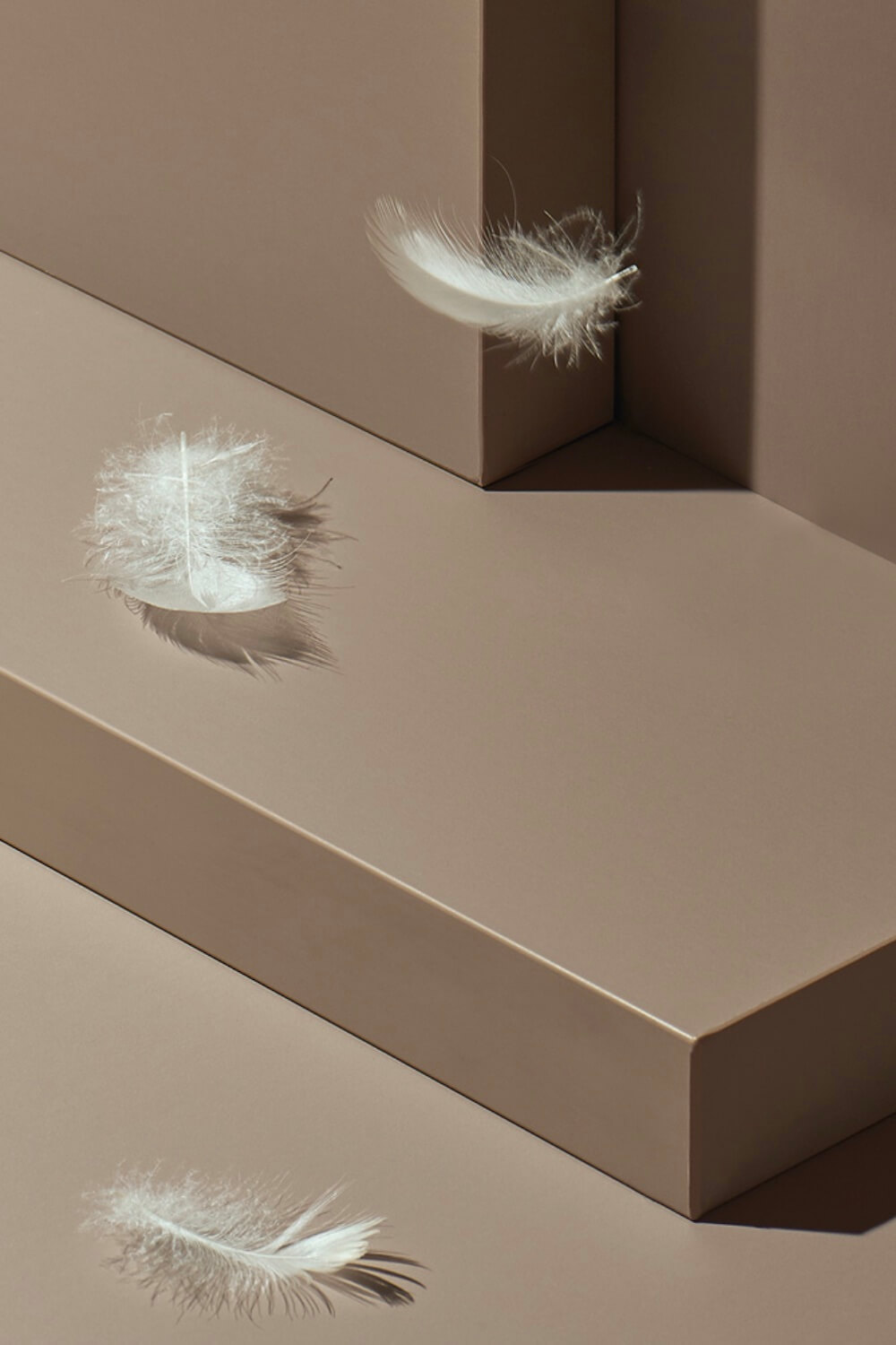 Fenix Hood Distribution