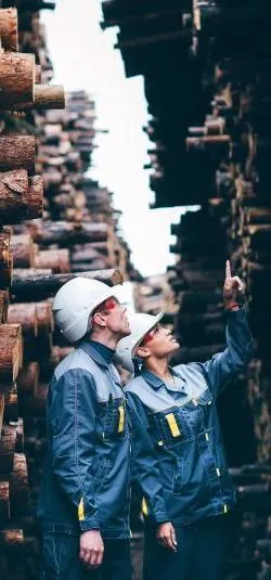 FSC Chain of Custody