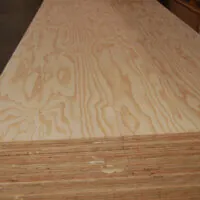 Fir Plywood not-marine