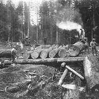 Geo McQuesten Historic Logging