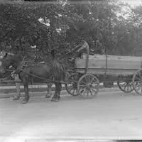 McEwan Lumber Horse Drawn Lumber Transportation