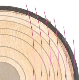 Rift-Cut-Veneer-2026