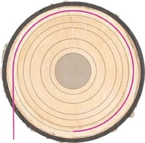 Rotary-Cut-Veneer-2026