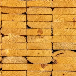 Southern Yellow Pine
