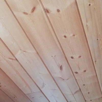 Spruce Ceiling swatch