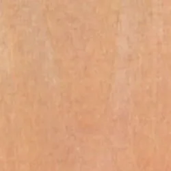Basswood (Domestic)