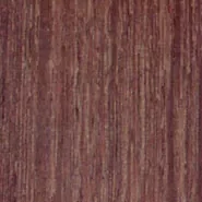 sample_apitong-e1434571071908