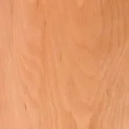 sample_beech_european_steamed-e1434571107355