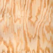 sample_eucalyptus-e1434574123491