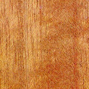 African Mahogany