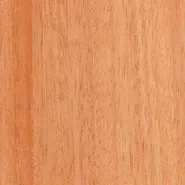 sample_okoume-e1434574276932