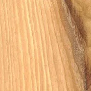 Hickory Plywood