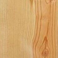 Eastern White Pine Plywood