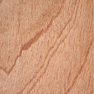 Sapele