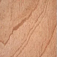 Sapele