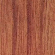 Teak