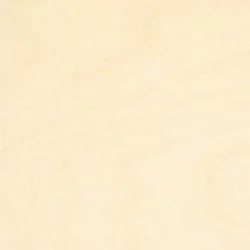 Birch Plywood, Baltic (Import)