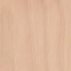Birch (Domestic)