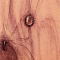 Aromatic Cedar