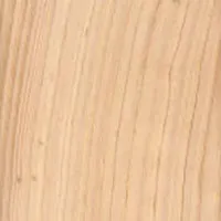 Atlantic White Cedar