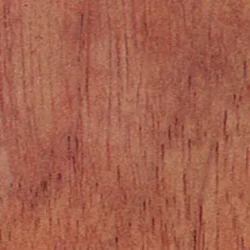 Cedar, Spanish (Import)