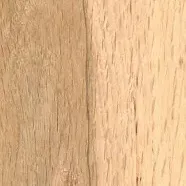 Oak Plywood, White (Import)