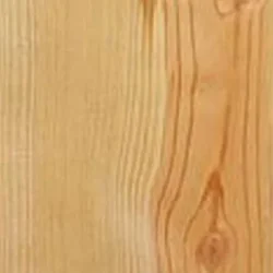 Pine, Eastern White (Domestic)