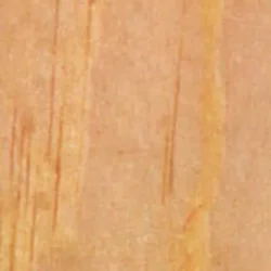Pine, Ponderosa (Domestic)