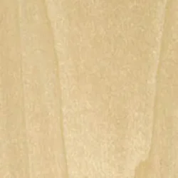 Poplar, Yellow (Domestic)