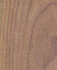 American Walnut Plywood