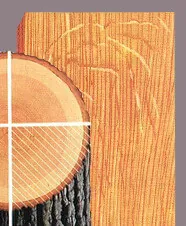 sample_sawn_quarter-e1435704800966