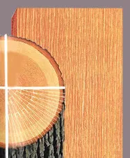 sample_sawn_rift-e1435704868176